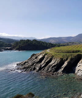 Front de mer de Banyuls sur Mer