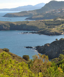 Paysage de la réserve naturelle Cerbère