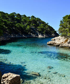 Superbe crique avec des eaux turquoise et des falaises rocheuses couvertes de pins, évoquant les calanques près de Cassis ou de la Côte d'Azur.