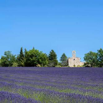 Camping dans la Drôme