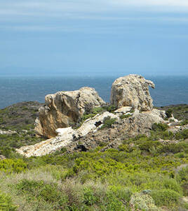 Explorar la naturaleza salvaje del Ampurdán Homair