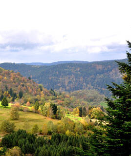 Sich in der unberührten Natur erholen Homair