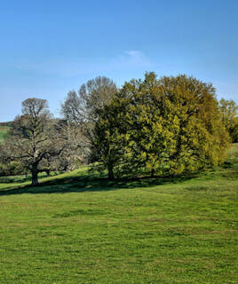 Paysage naturel de Normandie