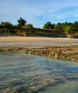 Plage rocheuse et sablonneuse avec une falaise et des arbres en arrière-plan, dans la Réserve Naturelle de l'Île d'Oléron.
