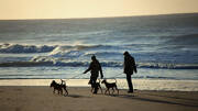 Deux personnes promenant leurs chiens sur la plage de La Tranche-sur-Mer au coucher du soleil, avec les vagues de l'océan Atlantique en arrière-plan, créant des silhouettes contrastées.