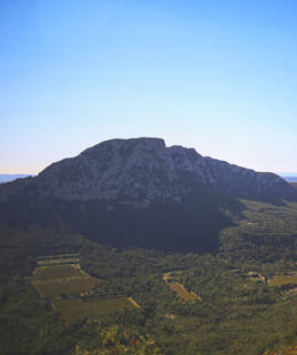 Vue aérienne du Pic Saint-Loup, une montagne imposante recouverte de végétation dense et de vignobles en contrebas, sous un ciel clair.