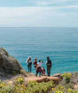 Un groupe de cinq amis, dont l'un porte un étui de guitare, admirant l'océan depuis une falaise côtière à La Tranche-sur-Mer, avec une végétation fleurie au premier plan.
