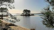 L'étang de Lacanau, avec une petite île boisée en son centre et des pins en silhouette sur les rives, sous un ciel clair et lumineux.