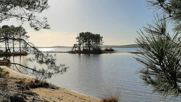 L'étang de Lacanau, avec une petite île boisée en son centre et des pins en silhouette sur les rives, sous un ciel clair et lumineux.