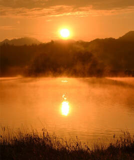 Lever de soleil brumeux sur un étang de la Réserve Naturelle de l'Étang de Cousseau, près de Lacanau, avec des teintes orange et dorées reflétées sur l'eau et des silhouettes d'arbres en arrière-plan.