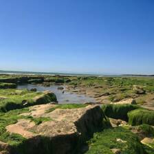 Camping Longeville sur mer