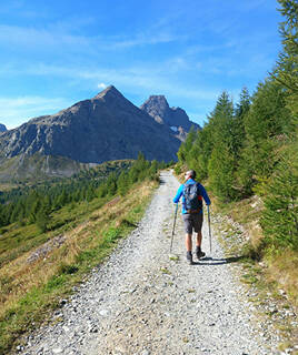 Recargar energías en plena naturaleza Homair