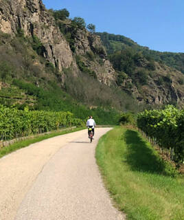 Cycliste sur une piste bordée de vignobles et de falaises escarpées, évoquant une balade à vélo à travers les vignobles du Languedoc près de Marseillan-Plage.