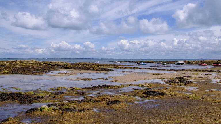 Plage rocheuse et sablonneuse à marée basse, avec des bateaux échoués au loin, près du Passage du Gois à Noirmoutier.