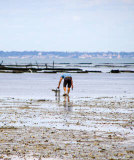Homme pratiquant la pêche à pied sur l'estran rocheux et boueux de l'Île de Noirmoutier, à marée basse.
