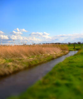 Canal étroit bordé de hautes herbes et de verdure, sous un ciel bleu parsemé de nuages, dans le Polder de Sébastopol à Noirmoutier.