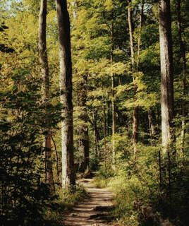 Parc Naturel dans le Nord Pas de Calais