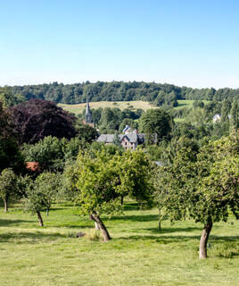 Paysage du bocage normand