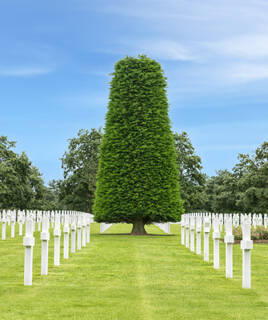 Relive D-Day in Normandy Homair