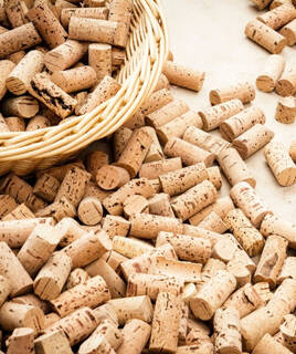 Conocer la historia del corcho en Palafrugell Homair