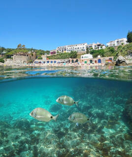 Explorar la costa de Palafrugell Homair