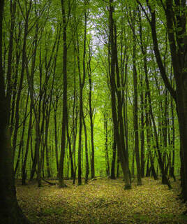 Bezoek Split en zijn monumenten Homair