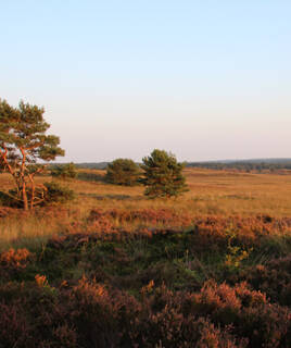 Explore the major national parks Homair