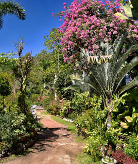 Wandelen langs de kust op het kustpad Homair