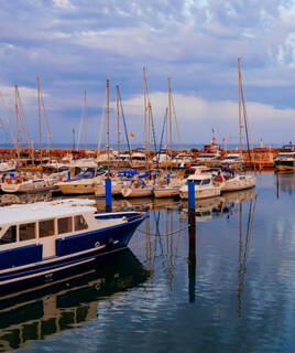 Pasear por el puerto pesquero Homair