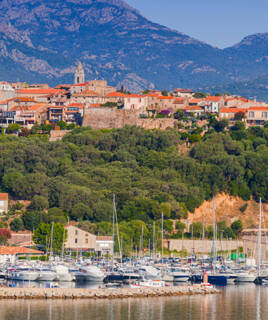 Vue sur le centre historique de Porto-Vecchio perché sur une colline verdoyante, avec ses remparts et son clocher, dominant un port de plaisance rempli de bateaux et les montagnes corses en arrière-plan.