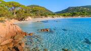 La plage de Palombaggia, près de Porto-Vecchio, avec son sable blanc et ses eaux turquoise cristallines, bordée de pins parasols et de rochers rouges caractéristiques de la Corse.