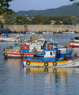 Dig into the catch of the day Homair