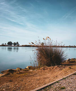Paysage du Delta de l'Ebre