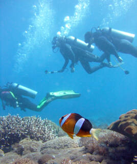 Plongée sous marine