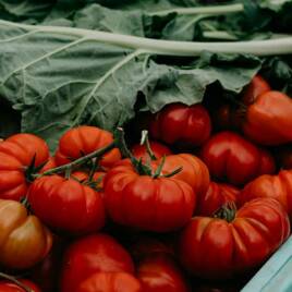 Marché traditionnel à proximité du Camping Cavallino à Venise Homair