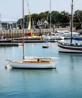 Le port de plaisance de L'Aiguillon-sur-Mer, avec de nombreux voiliers et bateaux amarrés dans les eaux calmes, bordé par des quais en bois et de la verdure en arrière-plan.