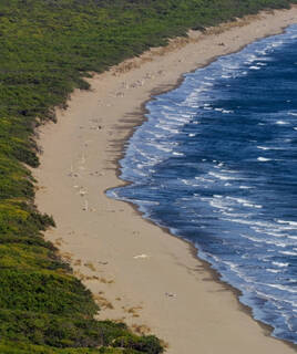 Esplora in bicicletta la Riserva Naturale della Feniglia Homair