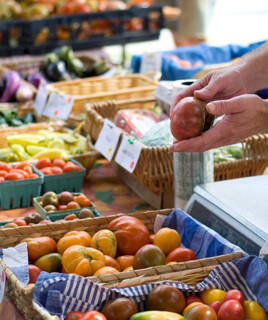 Scopri i prodotti tipici della Maremma al mercato locale Homair