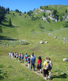 Wandern oder Radfahren in der unberührten Natur Homair