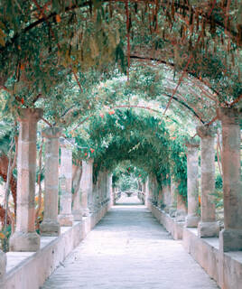 Jardins de Balaruc les Bains