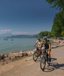 Fietsen in Zeeland: Kust en Natuur Homair