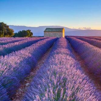 Camping à la campagne
