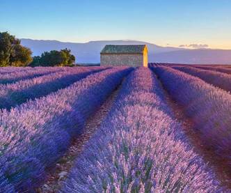 Camping à la campagne