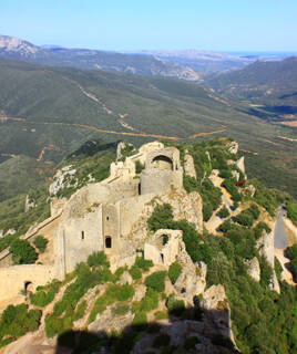Le Château de Peyrepertuse, un château cathare escarpé près de Carcassonne, perché sur une crête rocheuse au milieu de paysages verdoyants et montagneux sous un ciel bleu clair.