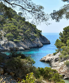 Un petit bateau naviguant dans les eaux bleues des Calanques de Cassis, entouré de falaises de calcaire blanc couvertes de pins méditerranéens sous un ciel clair.