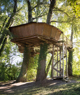 Une cabane perchée en bois, hébergement insolite près d'Aix-en-Provence, construite autour de troncs d'arbres et accessible par un escalier en bois, au milieu d'une forêt verdoyante.