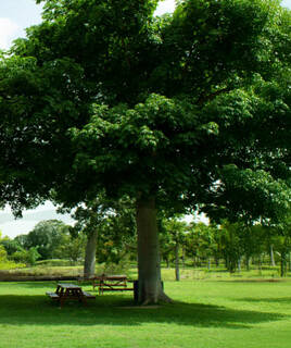 Le parc du chant des oiseaux à Courseulles-Sur-Mer