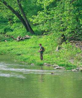 Pêche en bord de rivière