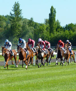 Dompel jezelf onder in de sfeer van de paardenraces op de renbaan Homair