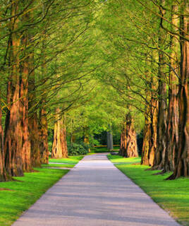 Doe activiteiten in de buitenlucht Homair